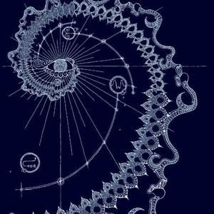 Meet your Posher, Mudathir